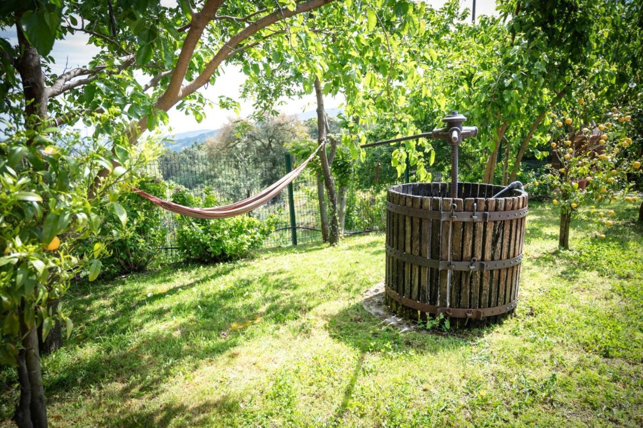 Pinhawood Villa Resende Exterior photo